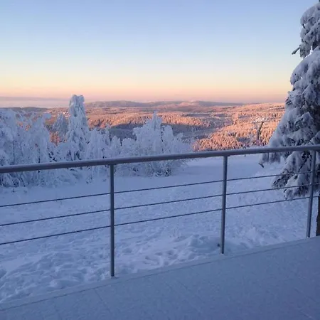 木屋 Ski Chalet Neklid