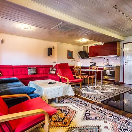 Ski Chalet Neklid 木屋