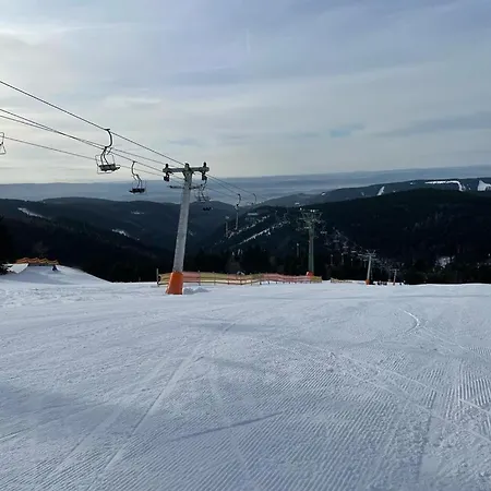 Ski Chalet Neklid 木屋 *